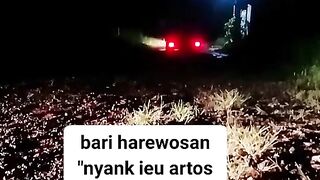 ayam broiler || kata kata lucu 91