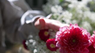 Happiness Overhaul: Embracing a Joyful Life"