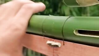 Bamboo Creations with wooden Craft