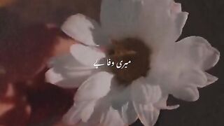 status,status video,status song,status whatsap,beast song,good song,video,songs 81