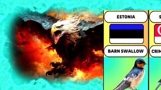 National Birds From Different Countries 2