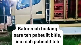 ayam broiler || kata kata lucu 95