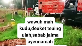 ayam broiler || kata kata lucu 99