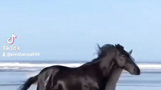 موسيقى هادئه 2
