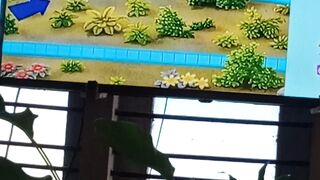 Amazing video you ever seen before