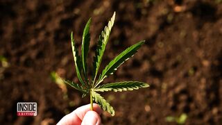 Study Shows Link Between Psychotic Disorder and Teen Pot Use