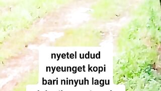 ayam broiler || kata kata lucu 103