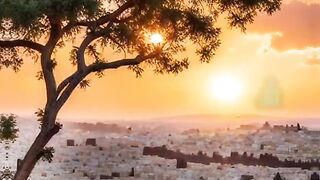 ينشئ مدون الفيديو هذا مقاطع فيديو رائعة! تعال وشاهد!    https://k.kwai.com/u/@Md6090/kCFQEKVf 59