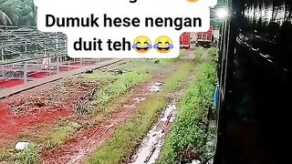 ayam broiler || kata kata lucu 105