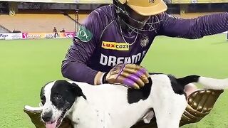 Phil Salt playing around with a dog _ #knightsunplugged _ TATA IPL 2024
