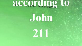 The Gospel according to John 211