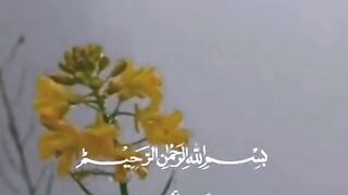 القران 2