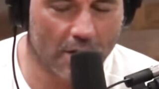 Joe Rogan Tells a scary Pitbull Story #joerogan #jre #pitbull #dogs #joeroganexperience
