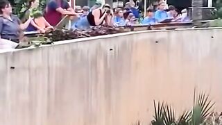 Funny video #31
