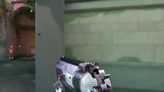 fastest 4k gecko
