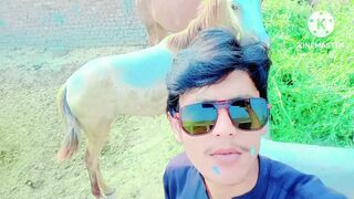 My horse video
