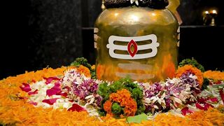 .#mahakaal #shiv #shambhu #shankar #maha... #bholebaba #trendingreels #instalike