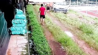 ayam broiler || kata kata lucu 111
