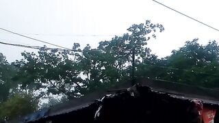 বৃশটি