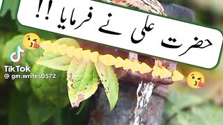 Hazrat Muhammad saw ki hadees 80