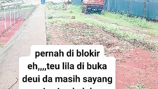 ayam broiler || kata kata lucu 116