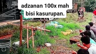 ayam broiler || kata kata lucu 117