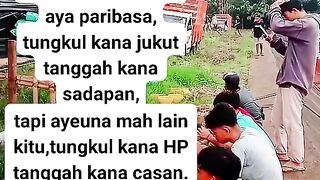 ayam broiler || kata kata lucu 119