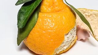 Funny Daddy bear eat Orange