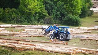 Bobcat lifting wooden logs cut down and needing to be piled up