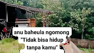 ayam broiler || kata kata lucu 120