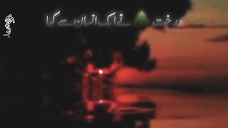 Tree status (درخت نے ایک انسان سےکہا )