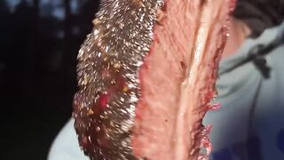 Juicy Brisket on a Stick