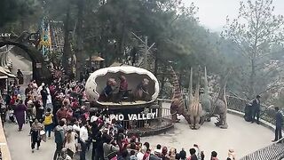 Dino velly