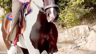 Tania Khan 4