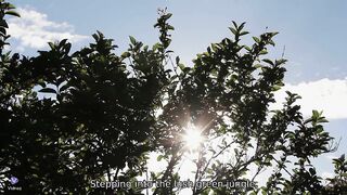 Nature Video of  Green Jungle