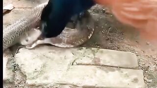 جو خود کو طاقت ور جان کر کمزور کو دبانا جانتے ہیں۔