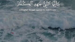القرآن الكريم 14