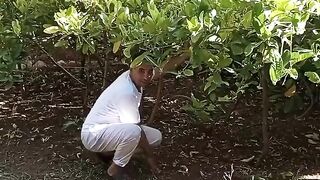 ????فاكهة ????نادرة ومقدسة ???? لد اليهود