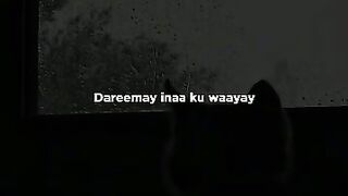 Dareemy maqanaatada u xiisy dhibkaga