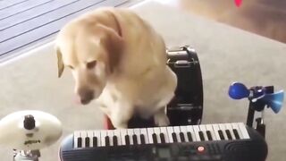 Hey I can sing & play music.Please everybody support me????.