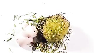 Let_s eat a rambutan _shorts _foodie _decompression(360P).