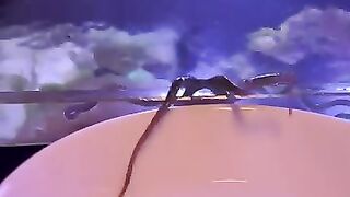 YOU SHOULD NEVER EAT A LIVE OCTOPUS(360P).