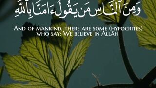 Quran Al Kareem 9