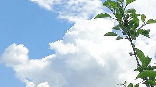 Beautiful nature 164