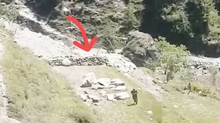 Watch for the end