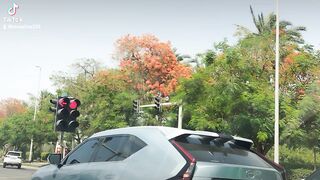 nice view 5