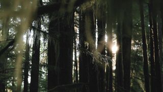 Nature<