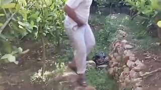 فاكهة اليهود المقدسة