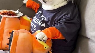Dooog 2