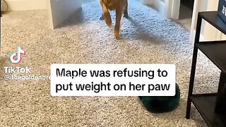Waffles called her out on her BS